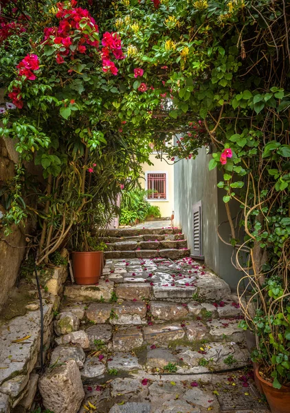 Stará úzká ulice s květinami v okrese Plaka, Atény, Řecko — Stock fotografie