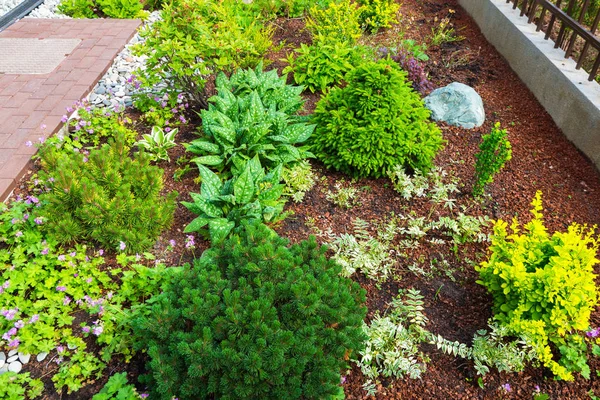 Aménagement paysager dans le jardin domestique — Photo