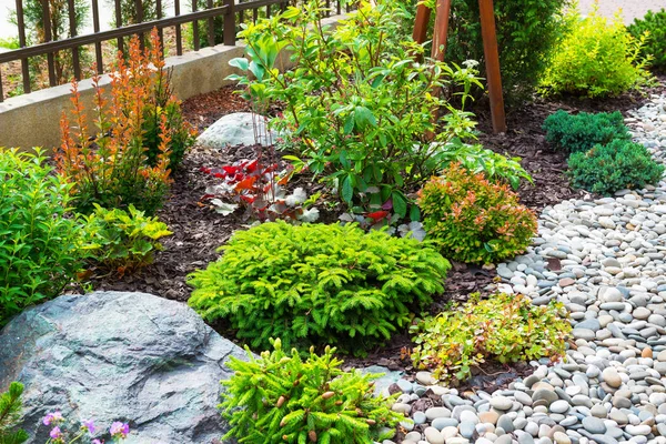 Landscaping in home garden — Stock Photo, Image