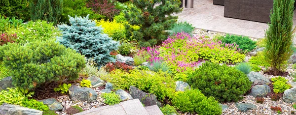 Landscape design with flowers and coniferous plants — Stock Photo, Image