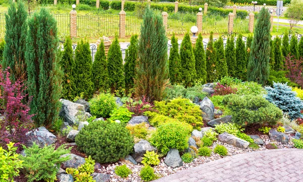 Projeto paisagístico com plantas e flores na casa residencial — Fotografia de Stock