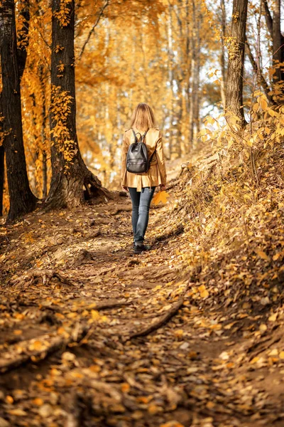 Woman in autumn park, back view. Adult girl walking away alone o