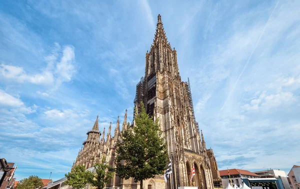 Ulmer Münster Oder Ulmer Münster Deutschland Ist Eine Mittelalterliche Touristenattraktion — Stockfoto