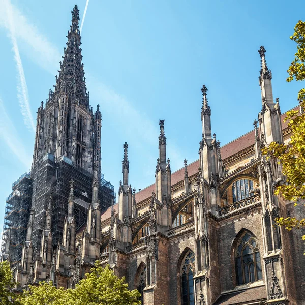 Ulmer Münster Oder Ulmer Münster Deutschland Ist Ulms Wahrzeichen Ornamentale — Stockfoto