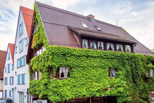 Haus Mit Efeu Überwuchert Ulm Deutschland Bewachsene Hausfassade Sommer Grünpflanzen — Stockfoto