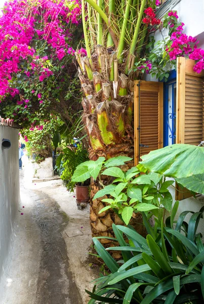 Stará Úzká Ulice Květinami Rostlinami Anafiotika Plaka Okresu Atény Řecko — Stock fotografie