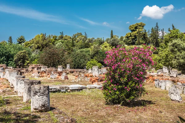 Paesaggio Dell Antica Agorà Estate Atene Grecia Questo Luogo Famosa — Foto Stock