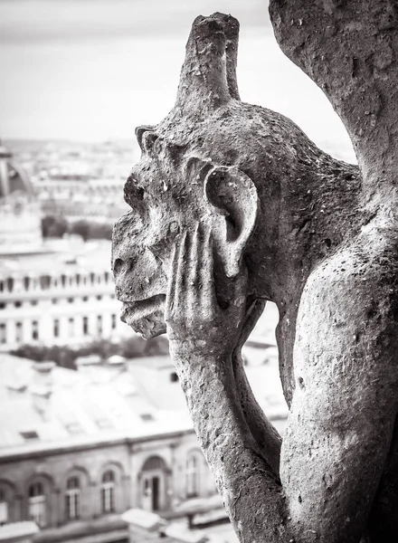 Cattedrale Notre Dame Paris Bianco Nero Parigi Francia Statua Chimera — Foto Stock