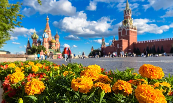 Röda Torget Sommaren Moskva Ryssland Blommor Med Utsikt Över Basil — Stockfoto