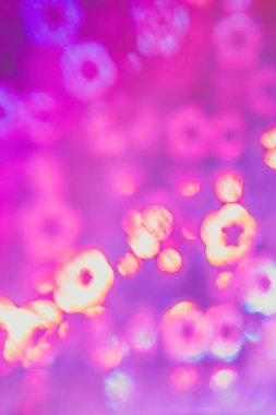 Soyut pembe çiçekler bokeh arka plan parıltı. Web sitesi tasarımı için trendy Sevgililer dekorasyon, duvar kartı seviyorum kalp