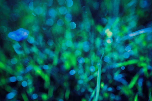 abstract green and blue nature background