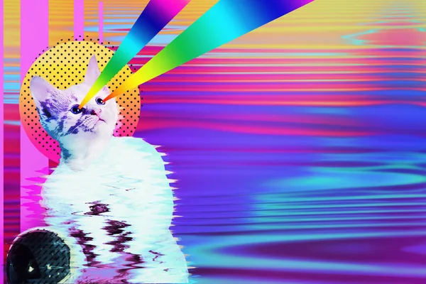 Pop art astronaut cat collage with rainbow rays, trendy contemporary concept design, vibrant vapor wave style background.