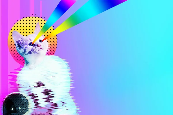 Pop art astronaut cat collage