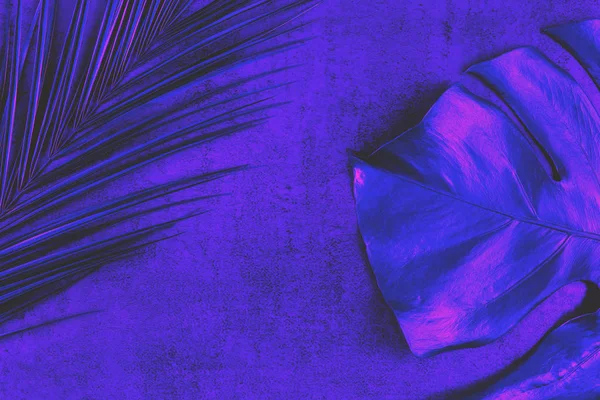 Neon gekleurde Palm en Monstera blad — Stockfoto