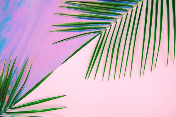 Grüne Palmblätter auf pastellfarbenem holographischen Hintergrund — Stockfoto