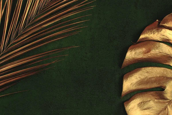 Altın palmiye ve monstera koyu yeşil arka plan üzerinde yaprakları — Stok fotoğraf