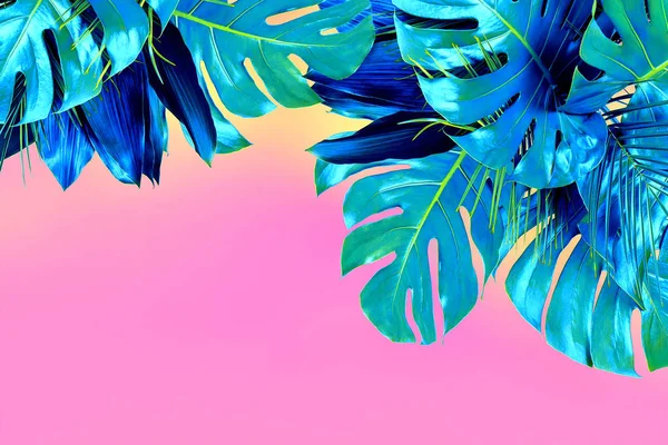 Turquoise de couleur gros plan de diverses feuilles tropicales fraîches sur p — Photo