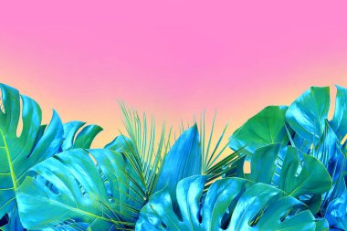turkuaz renkli p çeşitli taze tropikal yaprakların yakın