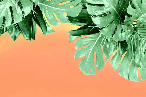 산호에 다양한 신선한 열대 잎의 민트 색 — 스톡 사진