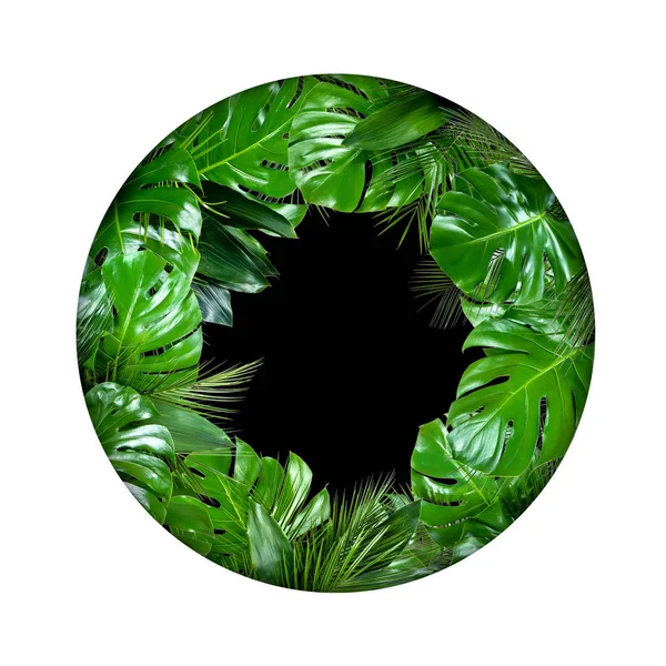 Tropikal bitki yaprakları whi boş siyah merkezi ile daire şekli — Stok fotoğraf