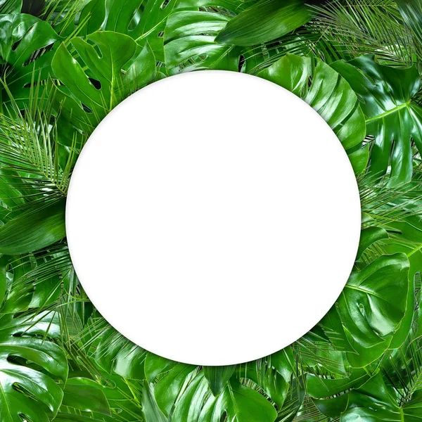 Forma de círculo branco vazio no fundo tropical verde — Fotografia de Stock