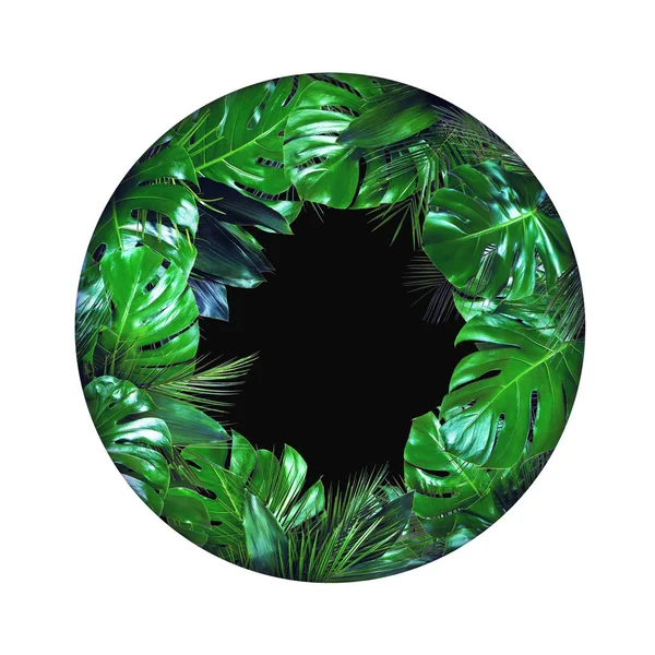 Feuilles de plantes tropicales forme de cercle avec le centre noir vide sur whi — Photo