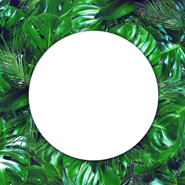 Forme de cercle blanc vide sur fond tropical vert foncé — Photo