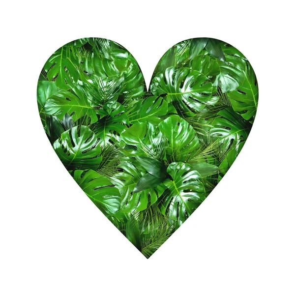 Forma do coração preenchido com folhas de plantas tropicais no fundo branco — Fotografia de Stock