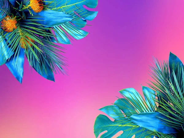 Divatos türkiz színű közelről különböző trópusi levelek — Stock Fotó