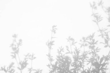 Çiçekler ve çim gri gölgeler