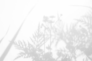 Çiçekler ve çim gri gölgeler