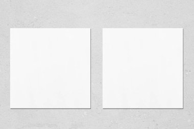 açık gri beton üzerinde iki kare el ilanı veya kartvizit mockups