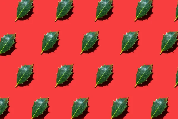 Stechpalme Blätter liegen diagonal auf rotem Hintergrund. — Stockfoto