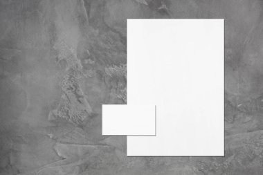 boş beyaz dikey poster ve yatay dikdörtgen iş ca