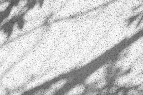 Серые тени листьев на белой бетонной текстурированной стене — стоковое фото