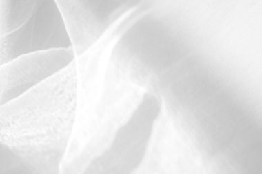 Beyaz bir duvara organik gölge düşür