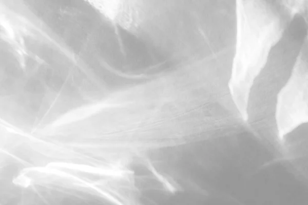 Органическая тень капель на белой стене — стоковое фото