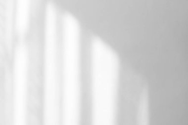 Beyaz bir duvara organik gölge düşür