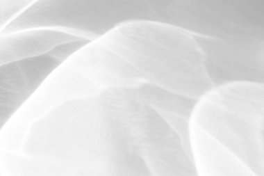 Beyaz bir duvara organik gölge düşür