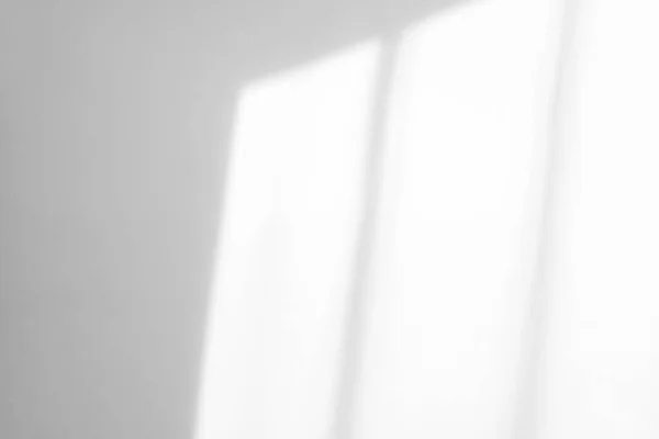 Sombra de baixa orgânica em uma parede branca — Fotografia de Stock