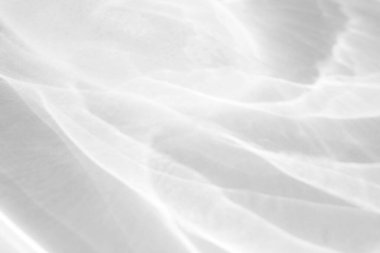 Beyaz bir duvara organik gölge düşür