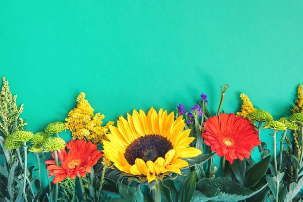 Diferentes flores coloridas de verão deitado no fundo de hortelã — Fotografia de Stock