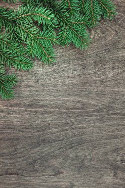 Kabarık yeşil köknar dallarının olduğu bir Noel arkaplanı