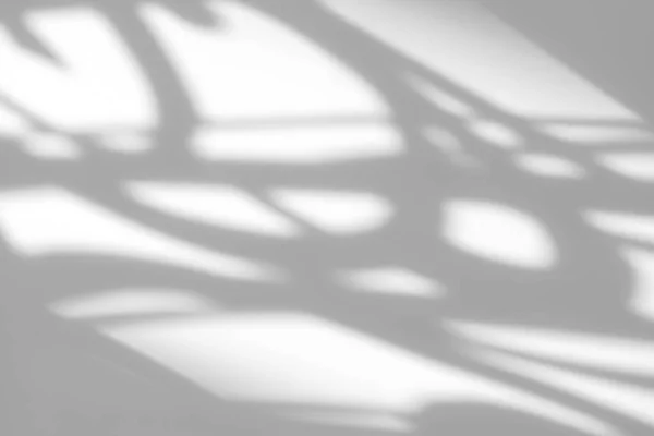 Fotoğraf ve modeller için üstüste koyma efekti. Beyaz bir duvara, deco camlı sanat eserinin çapraz gölgesini düşürür..