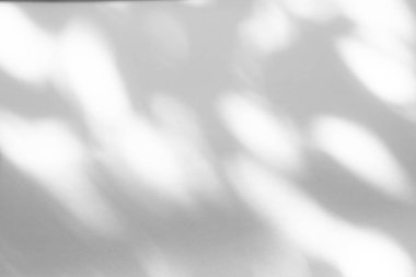 Fotoğraf için bulanık kaplama efekti. Organik gölge ve beyaz bir duvara noktalı ışık. Tasarım sunumu için soyut nötr doğa kavramı. Doğal ışık efektleri için gölgeler