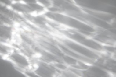 Bulanık su dokusu, fotoğraf ve maketler için örtüşüyor. Beyaz bir duvara organik gölge ve ışık yakıcı etki bırakıyor. Doğal ışık efektleri için gölgeler