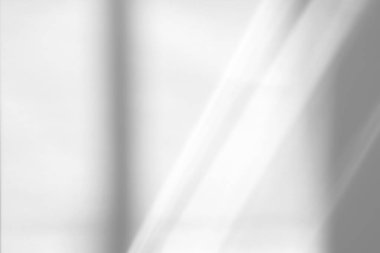 Fotoğraf ve modeller için üstüste koyma efekti. Beyaz bir duvara organik gölgeler ve pencereden gelen ışık demetleri. doğal ışık efektleri için gölgeler