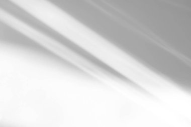 Beyaz bir duvara organik gölge düşür