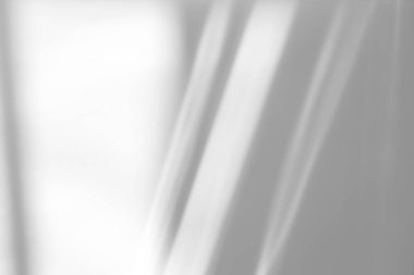 Beyaz bir duvara organik gölge düşür