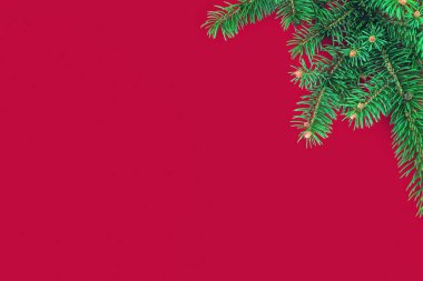 Kırmızı arkaplanda yeşil köknar dalları olan Noel kompozisyonu